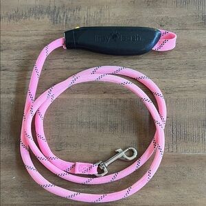 Litey Leash Nighttime Dog Walking Leash